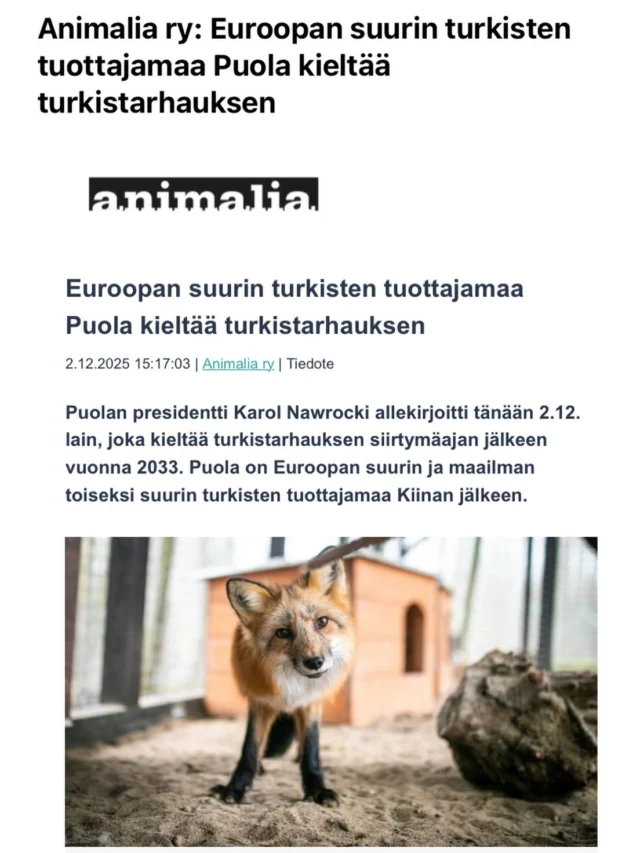Euroopan suurin turkisten tuottajamaa Puola kieltää turkistarhauksen

Päätöksen myötä Euroopassa harjoitetaan turkistarhausta enää vain Suomessa ja Kreikassa sekä pienimuotoisesti muutamassa muussa maassa

https://animalia.fi/2025/12/02/euroopan-suurin-turkisten-tuottajamaa-puola-kieltaa-turkistarhauksen/
